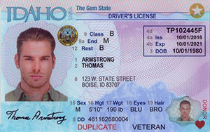 ID DMV driver's license